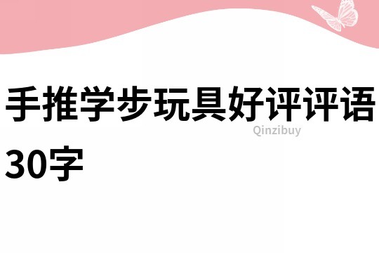 手推学步玩具好评评语30字
