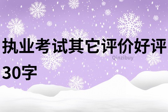 执业考试其它评价好评30字