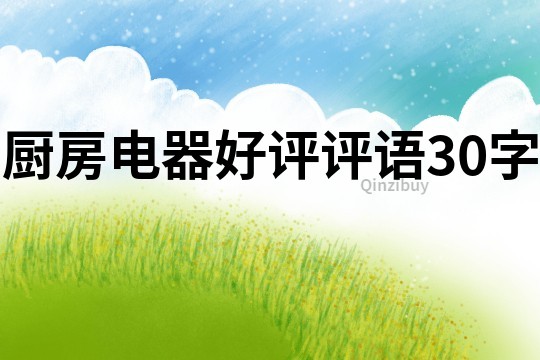 厨房电器好评评语30字