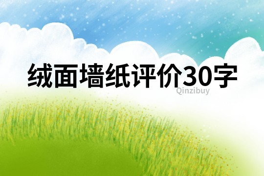 绒面墙纸评价30字