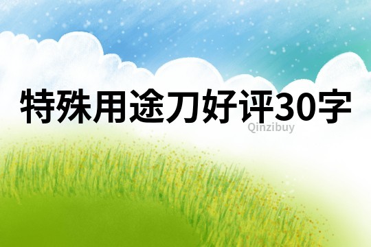 特殊用途刀好评30字
