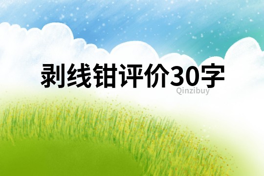 剥线钳评价30字