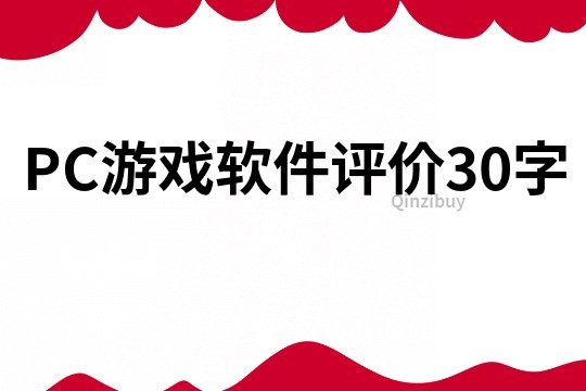 PC游戏软件评价30字