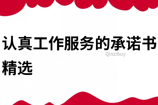 认真工作服务的承诺书精选