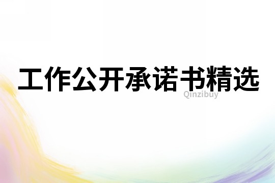 工作公开承诺书精选