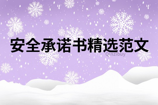 安全承诺书精选范文