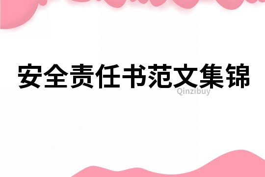安全责任书范文集锦