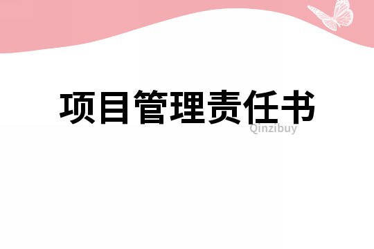 项目管理责任书