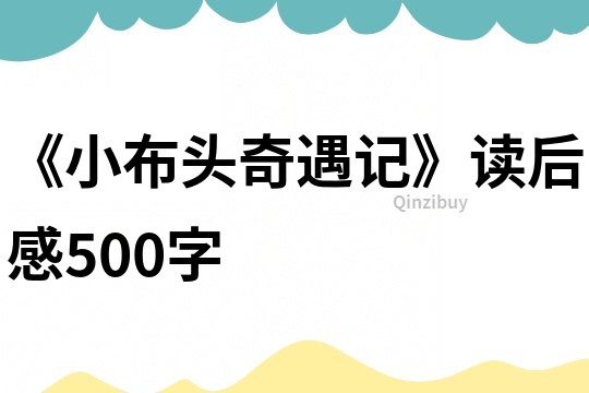 《小布头奇遇记》读后感500字