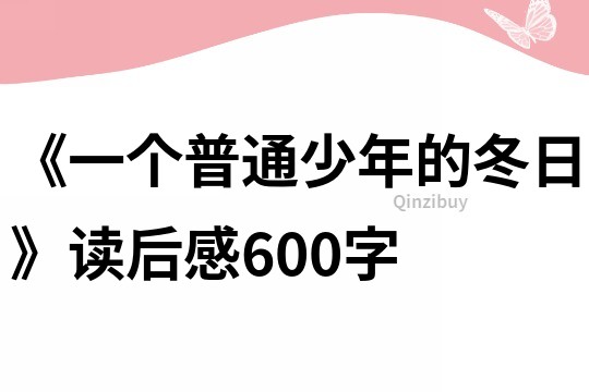 《一个普通少年的冬日》读后感600字