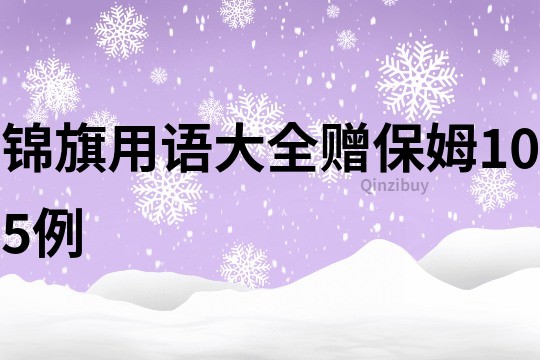 锦旗用语大全赠保姆105例