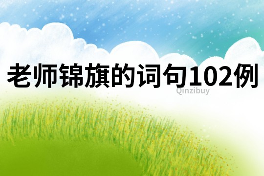 老师锦旗的词句102例