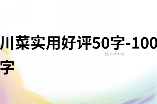 川菜实用好评50字-100字