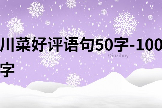 川菜好评语句50字-100字