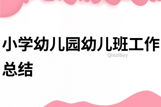 小学幼儿园幼儿班工作总结