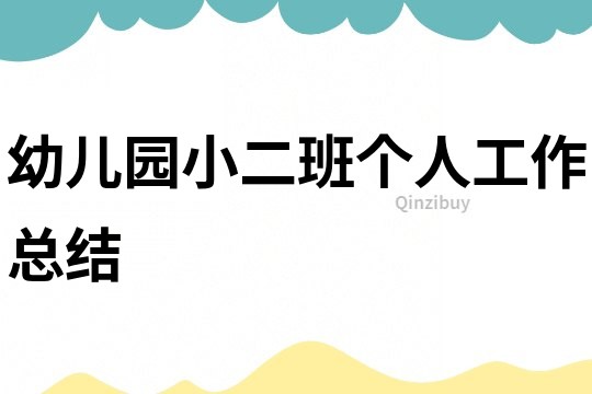 幼儿园小二班个人工作总结