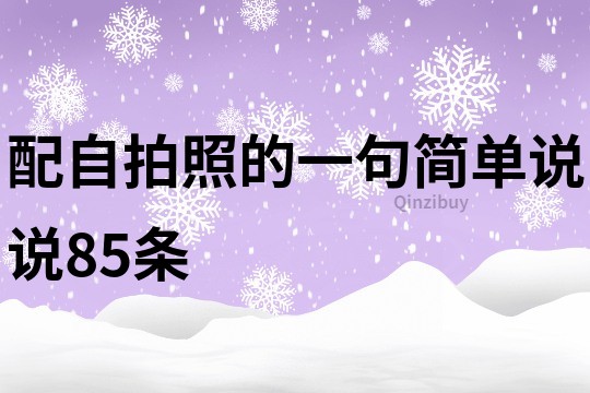 配自拍照的一句简单说说85条