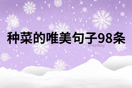 种菜的唯美句子98条