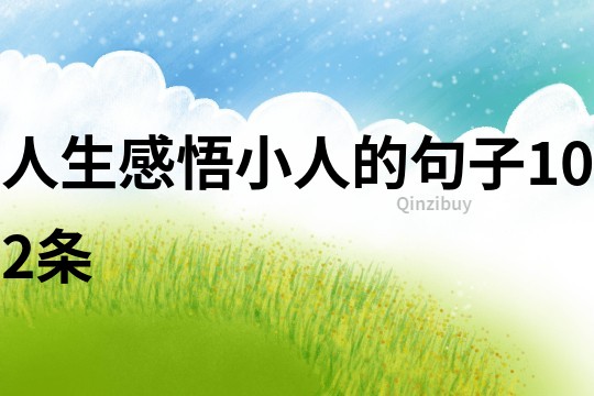 人生感悟小人的句子102条