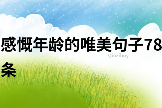 感慨年龄的唯美句子78条