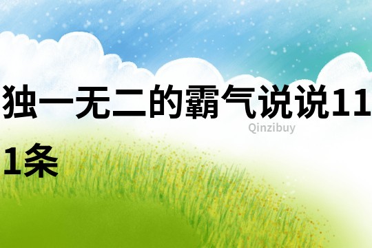 独一无二的霸气说说111条