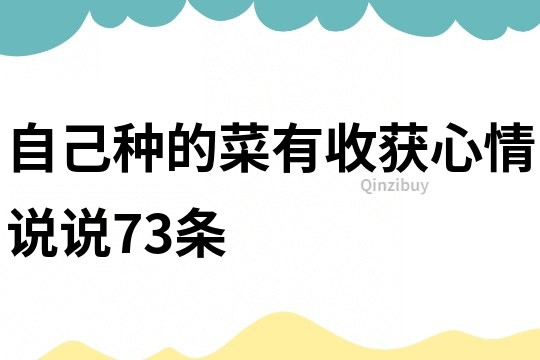 自己种的菜有收获心情说说73条