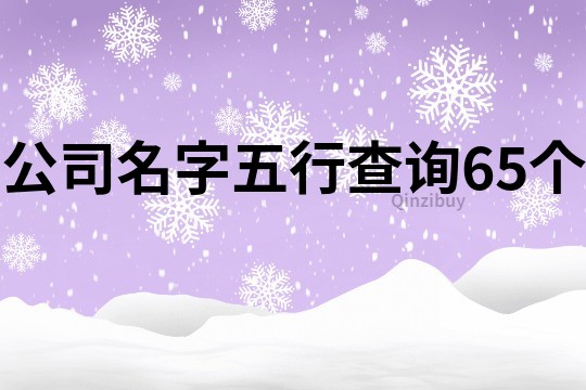 公司名字五行查询65个