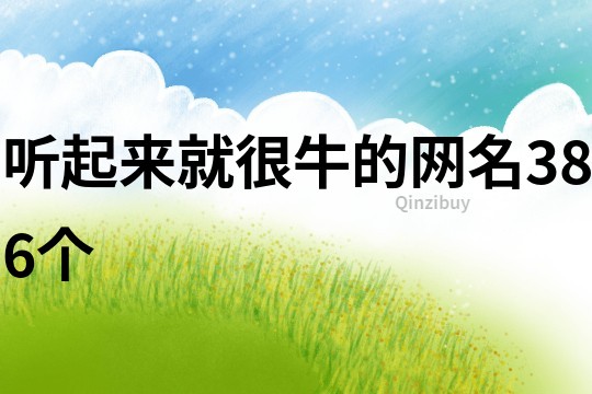 听起来就很牛的网名386个