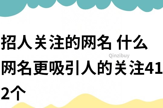 招人关注的网名 什么网名更吸引人的关注412个