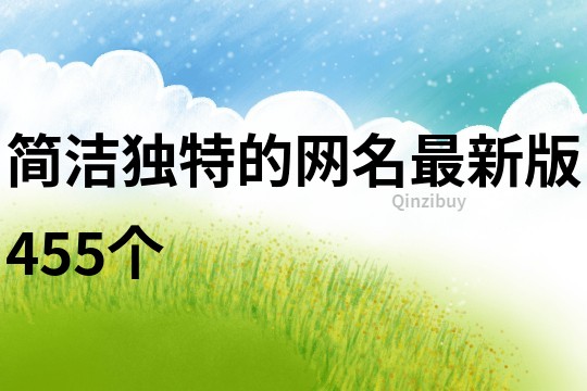 简洁独特的网名最新版455个