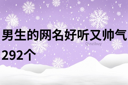 男生的网名好听又帅气292个