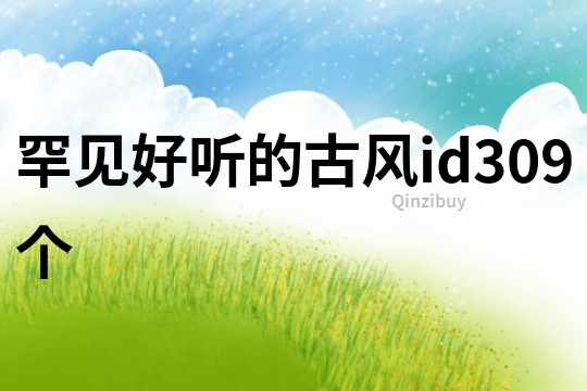 罕见好听的古风id309个