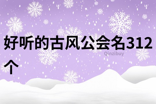好听的古风公会名312个