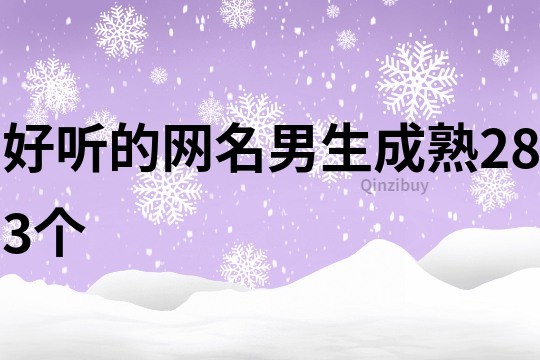 好听的网名男生成熟283个