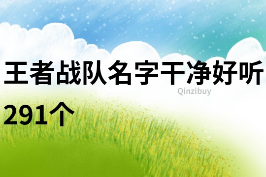 王者战队名字干净好听291个