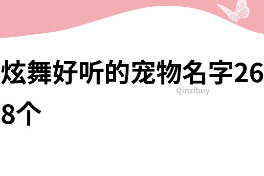 炫舞好听的宠物名字268个
