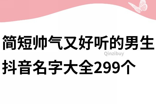 简短帅气又好听的男生抖音名字大全299个