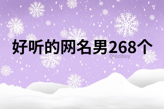 好听的网名男268个