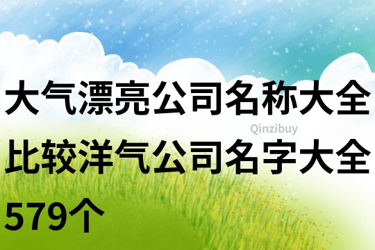 大气漂亮公司名称大全,比较洋气公司名字大全579个