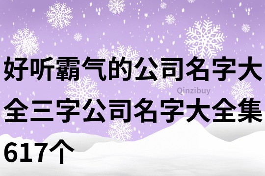 好听霸气的公司名字大全,三字公司名字大全集617个