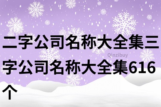 二字公司名称大全集,三字公司名称大全集616个