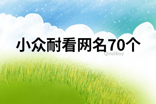 小众耐看网名70个