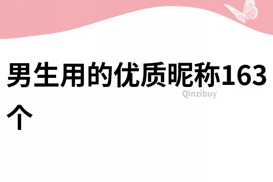 男生用的优质昵称163个