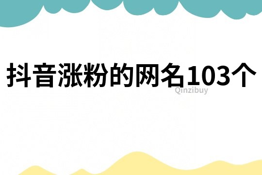 抖音涨粉的网名103个