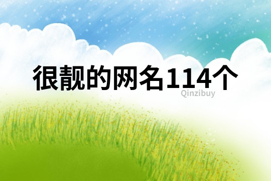 很靓的网名114个