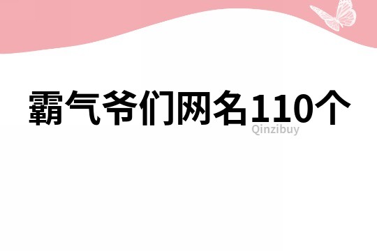 霸气爷们网名110个