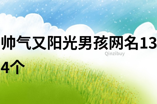 帅气又阳光男孩网名134个