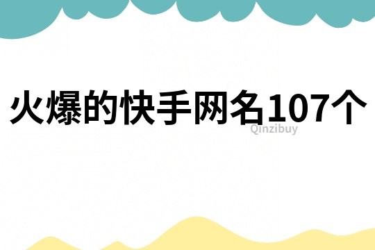 火爆的快手网名107个