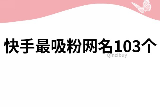 快手最吸粉网名103个