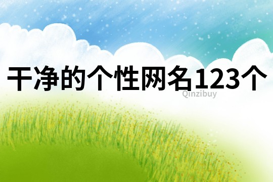 干净的个性网名123个